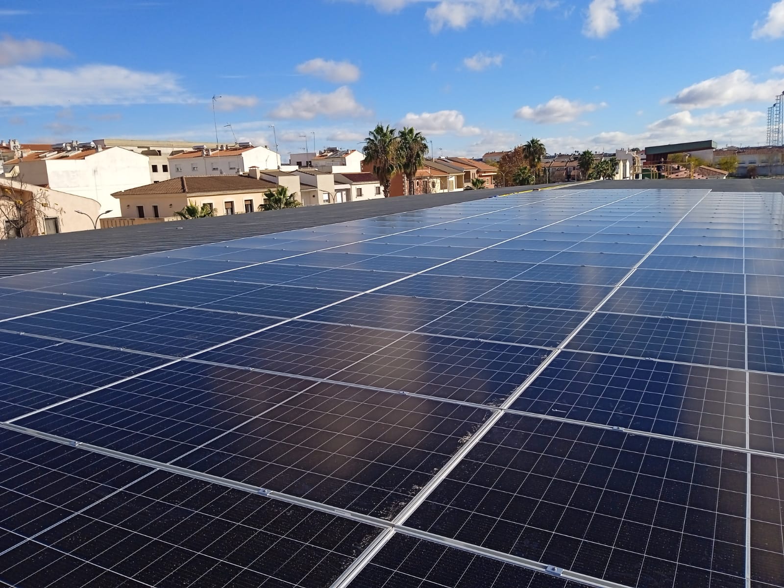 Piloto 2 · Almendralejo Vendimia Solar Comunidad Energética Almendralejo Vendimia Solar
